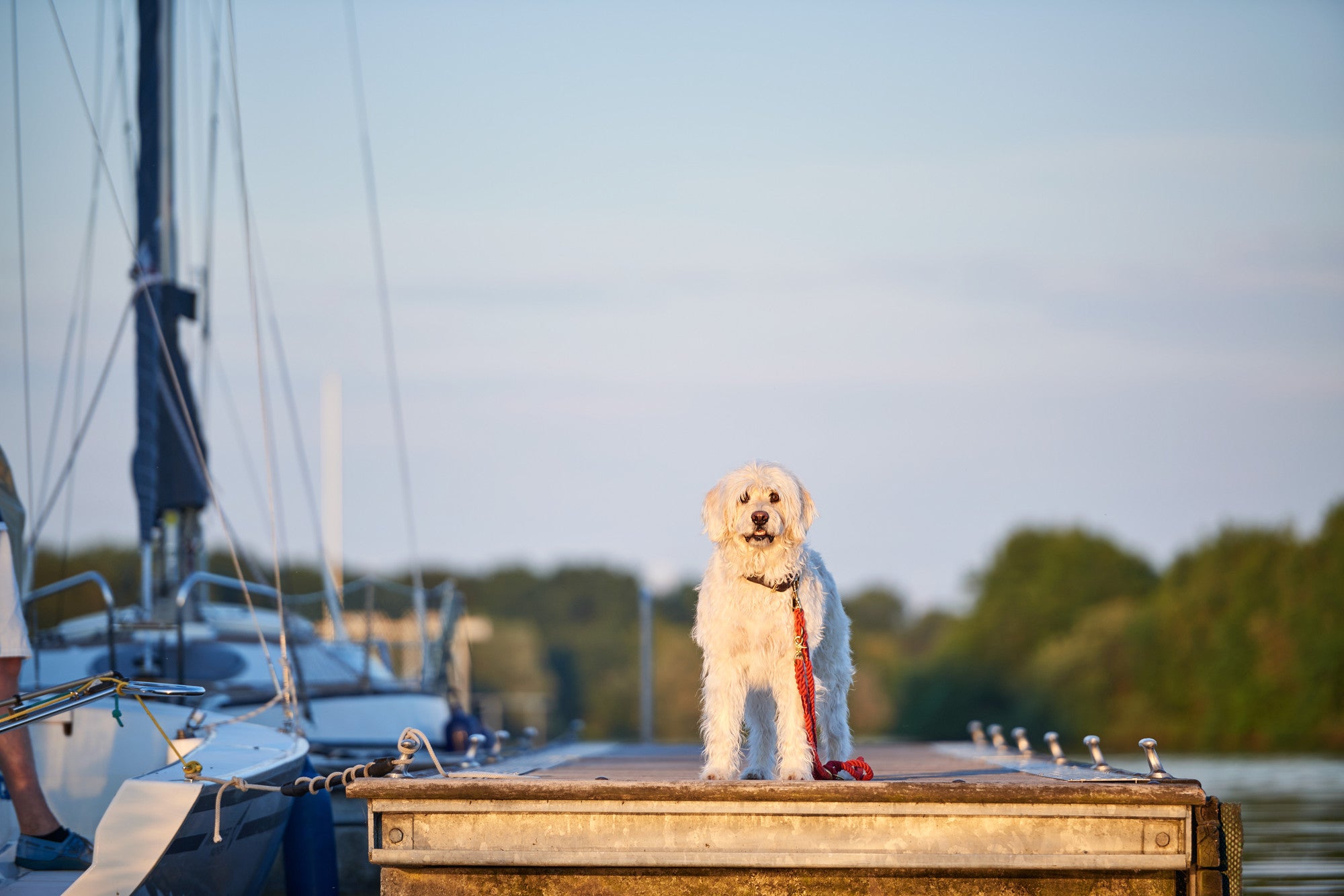 HUNTER® Training leash List