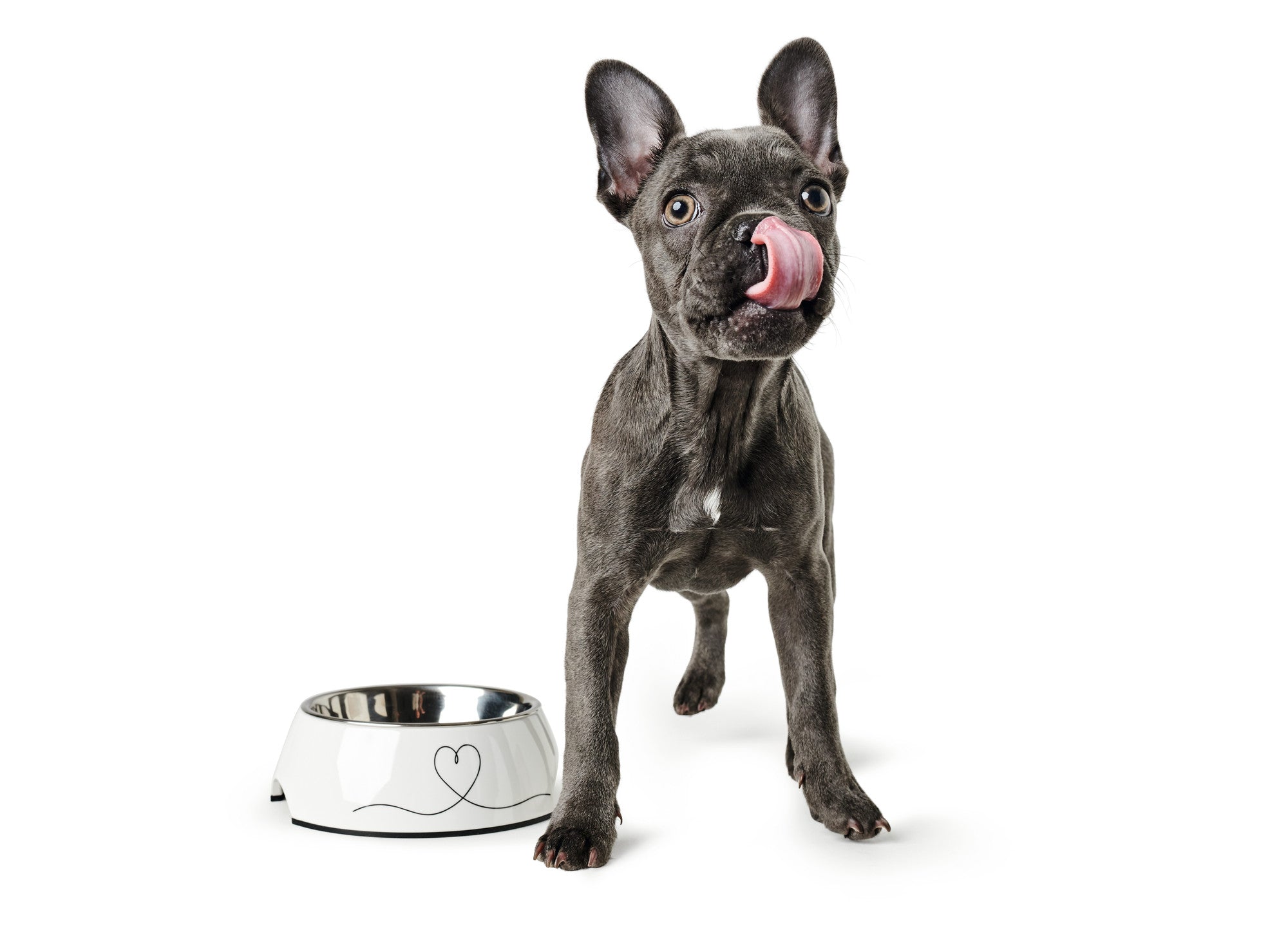 HUNTER® Valencia Melamine feeding bowl