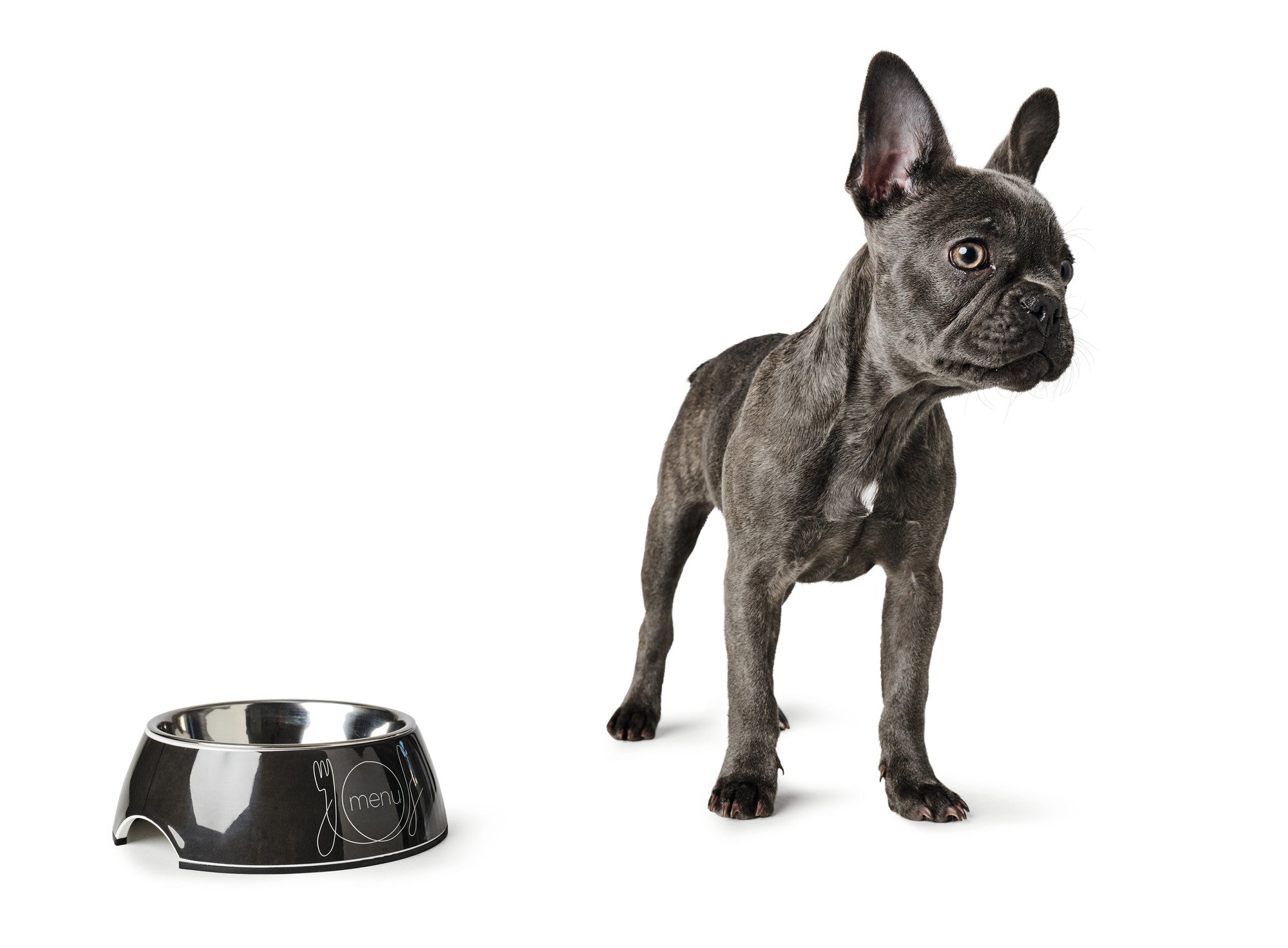 HUNTER® Burgos Melamine feeding bowl