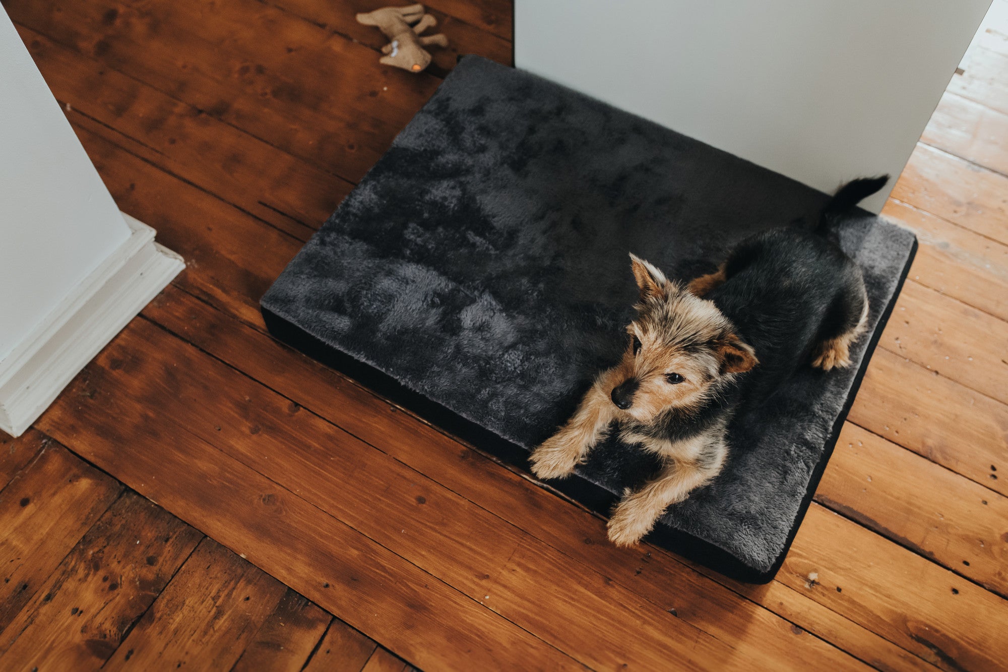 HUNTER® Tirano Orthopaedic Dog Bed