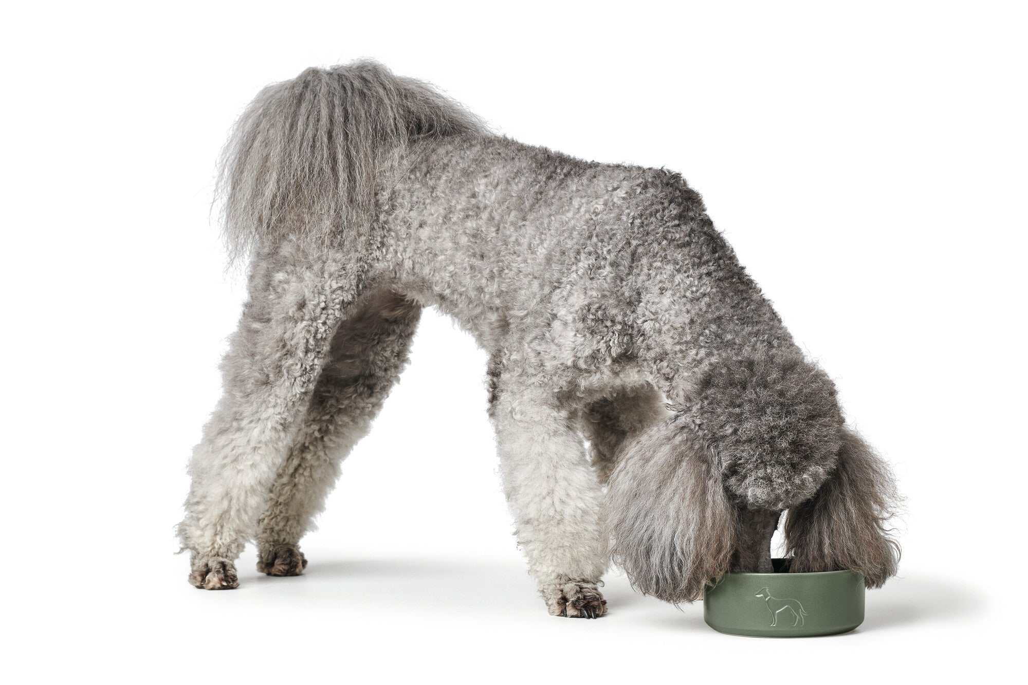 HUNTER® Osby Ceramic bowl