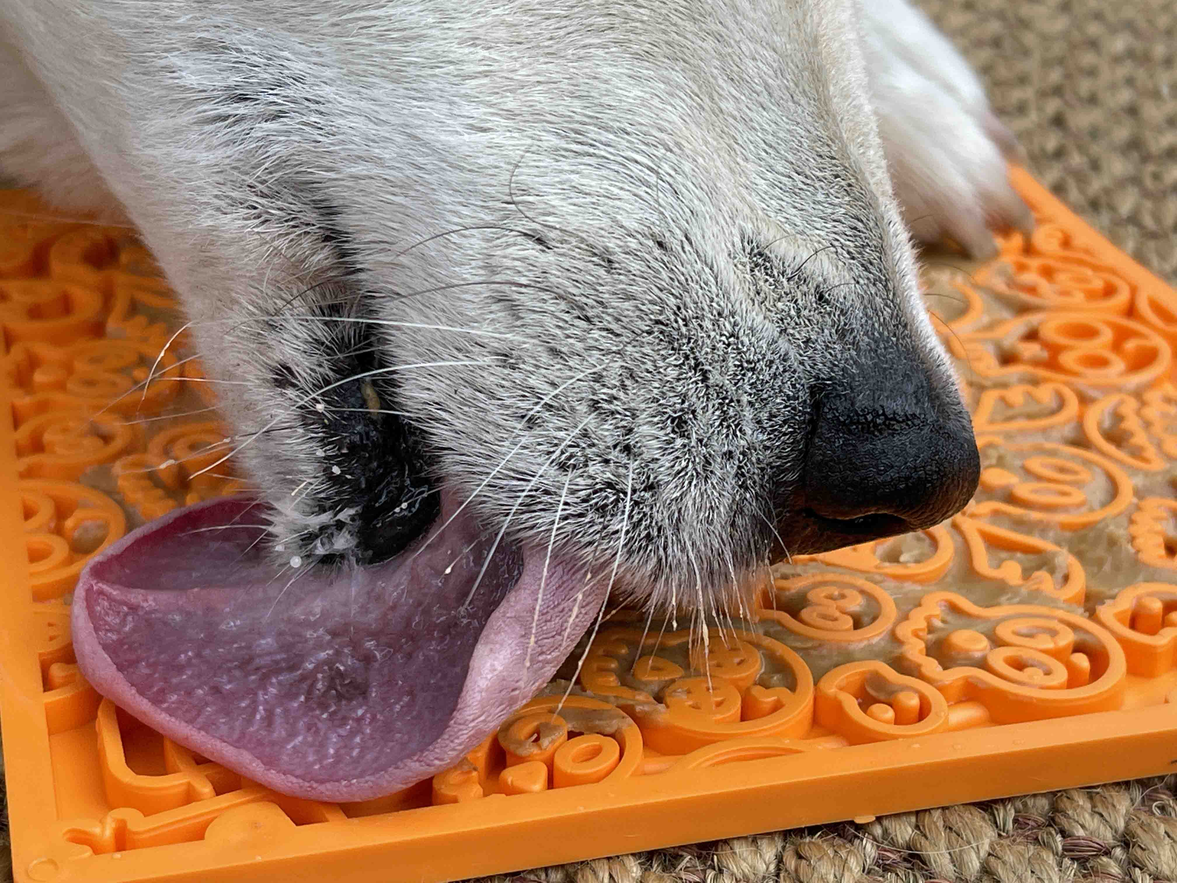 SodaPup Zombie Emat - Large