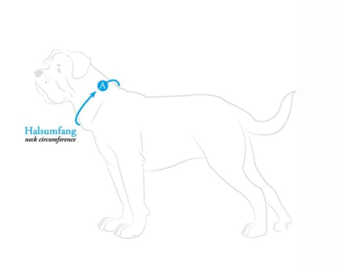 HUNTER® Collar Safety Vario Basic (Reflective)