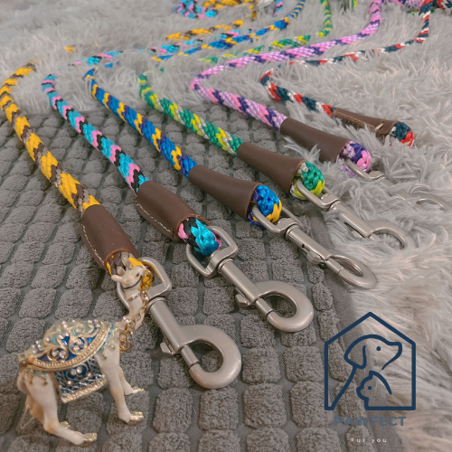 Mendota Pet Snap Leash TriColor (6 Colours)