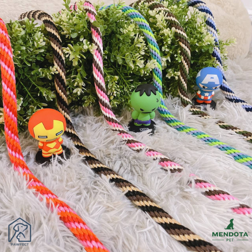 Mendota Pet Snap Leash Twist Series (6 Colours)