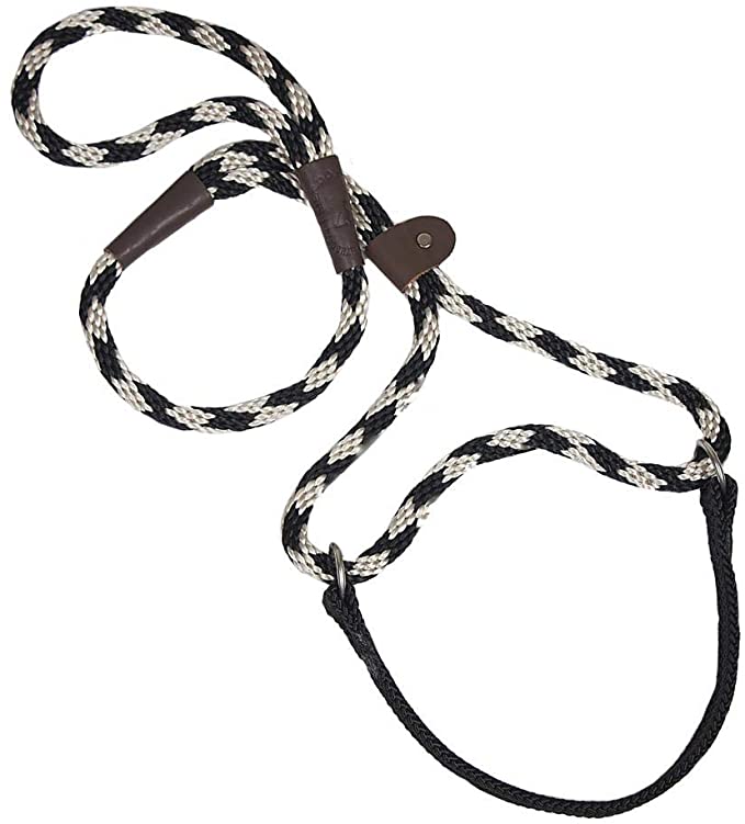 Mendota Pet Dog Walker (Martingale-style)
