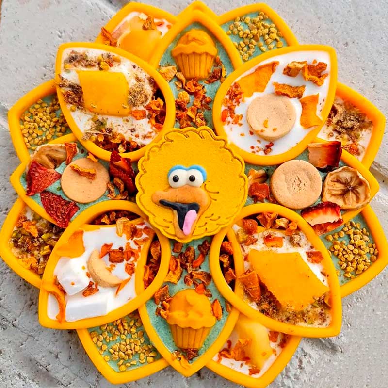 SodaPup ETray - Mandala | Yellow