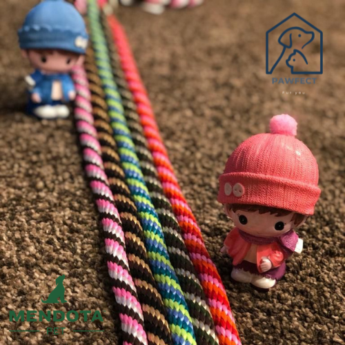 Mendota Pet Slip Lead Twist Series (6 Colours)