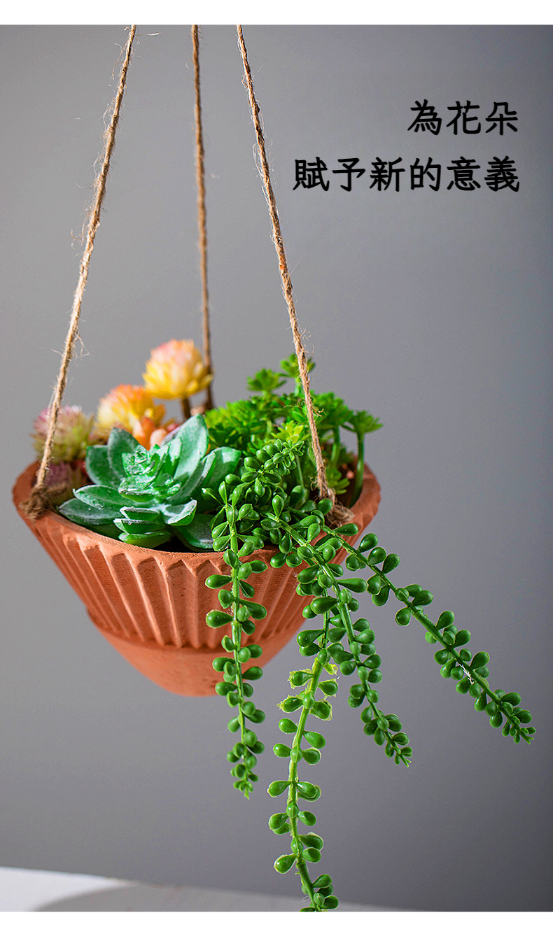 悬挂吊钵花盆-790_03.jpg?x-oss-process=image/format,png