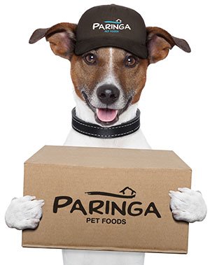 delivery-dog