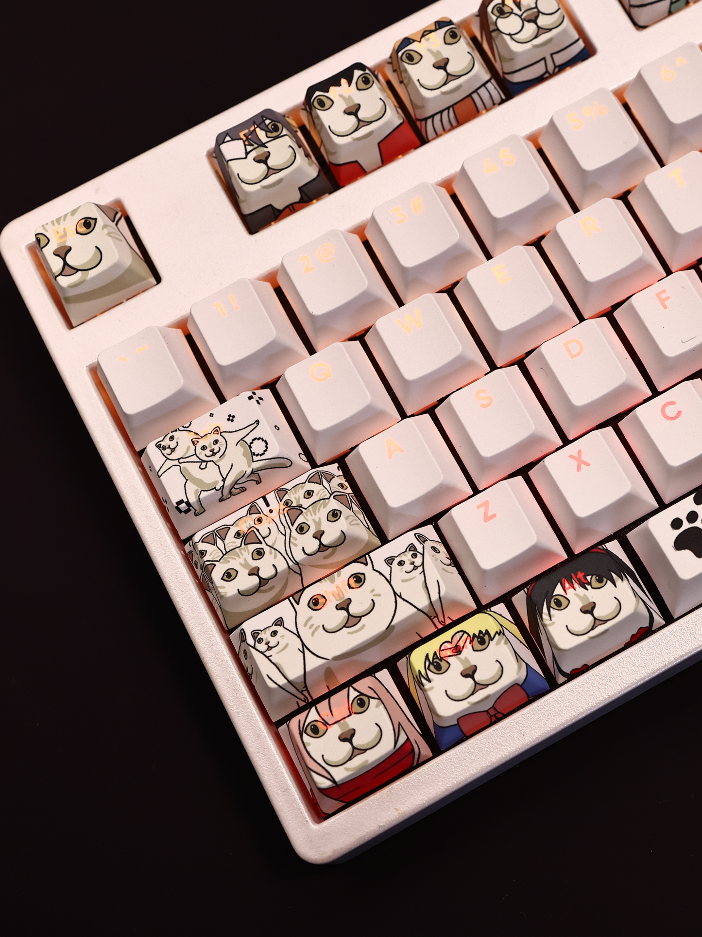 MUR貓透光RGB108鍵標準配列衛星軸鍵帽-ZUIHANG SHOP