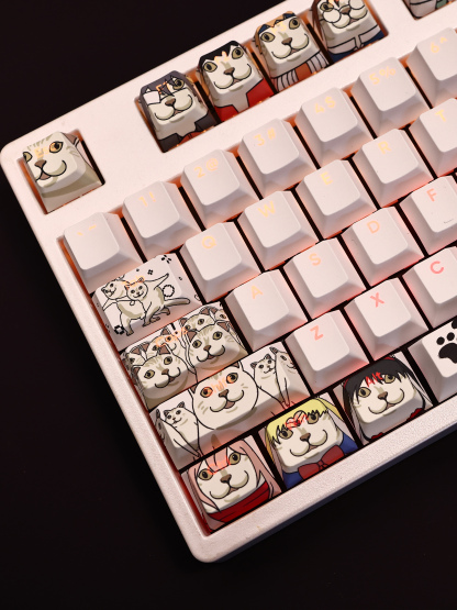 MUR貓透光RGB108鍵標準配列衛星軸鍵帽-ZUIHANG SHOP