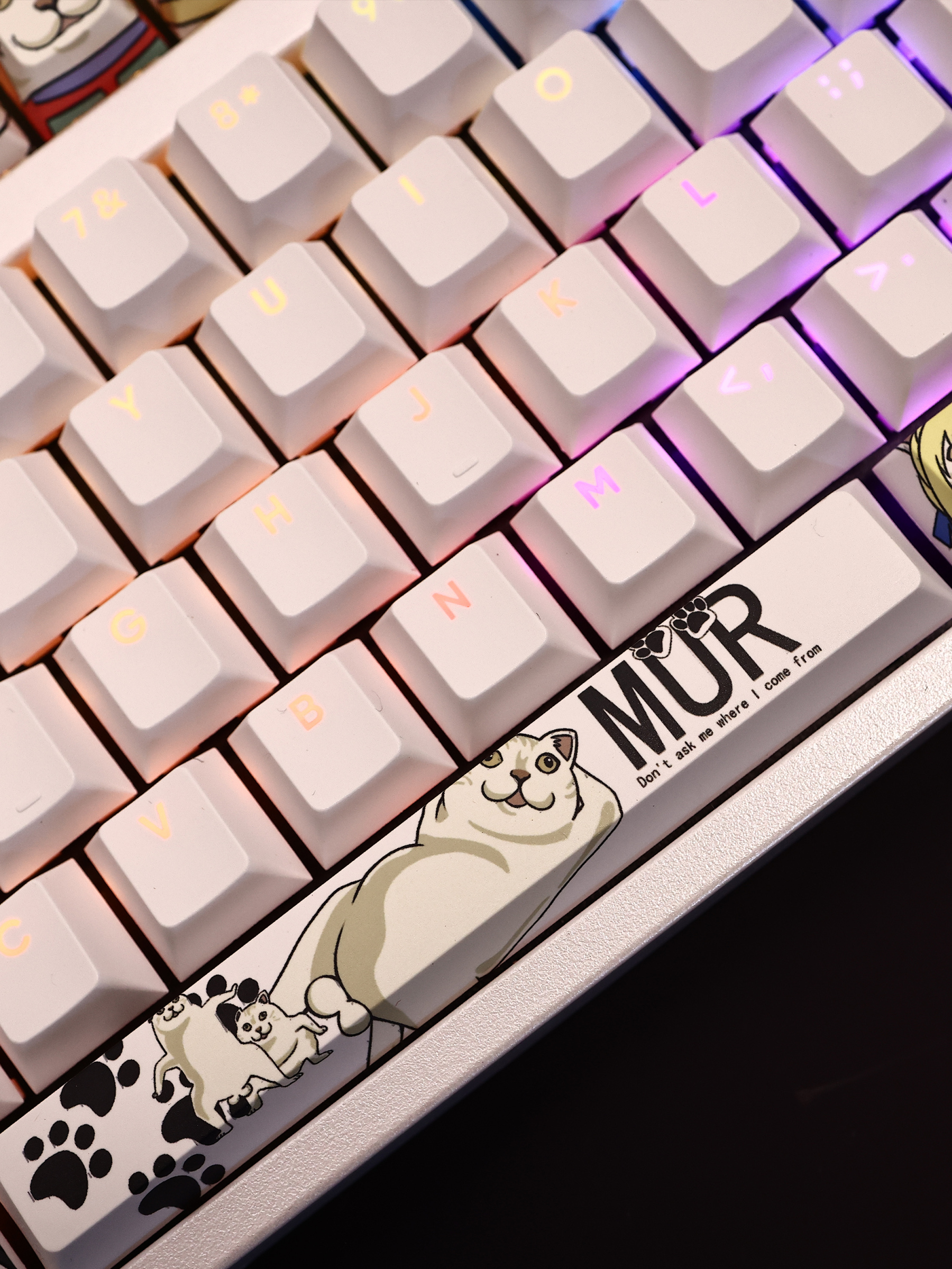 MUR貓原創透光RGB108鍵標準配列衛星軸鍵帽