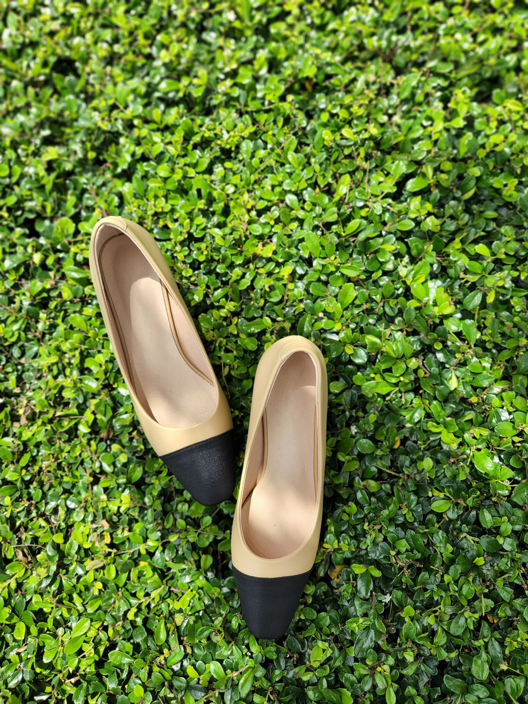 Le Classic Pumps-The Black Bow-
