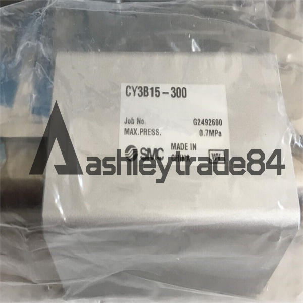 new-1pcs-smc-cy3b15-300-rodless-cylinder 0