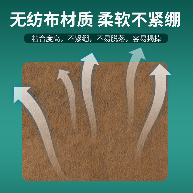 艾兴堂 艾草痛风贴（5贴/盒）