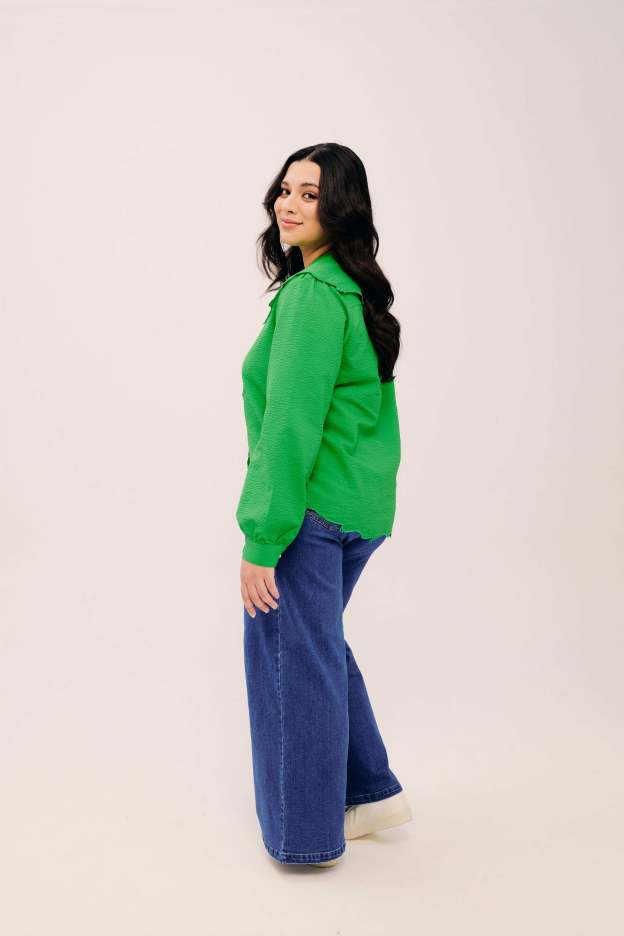 Lapel Classic Green Long Sleeve Embroidered Top