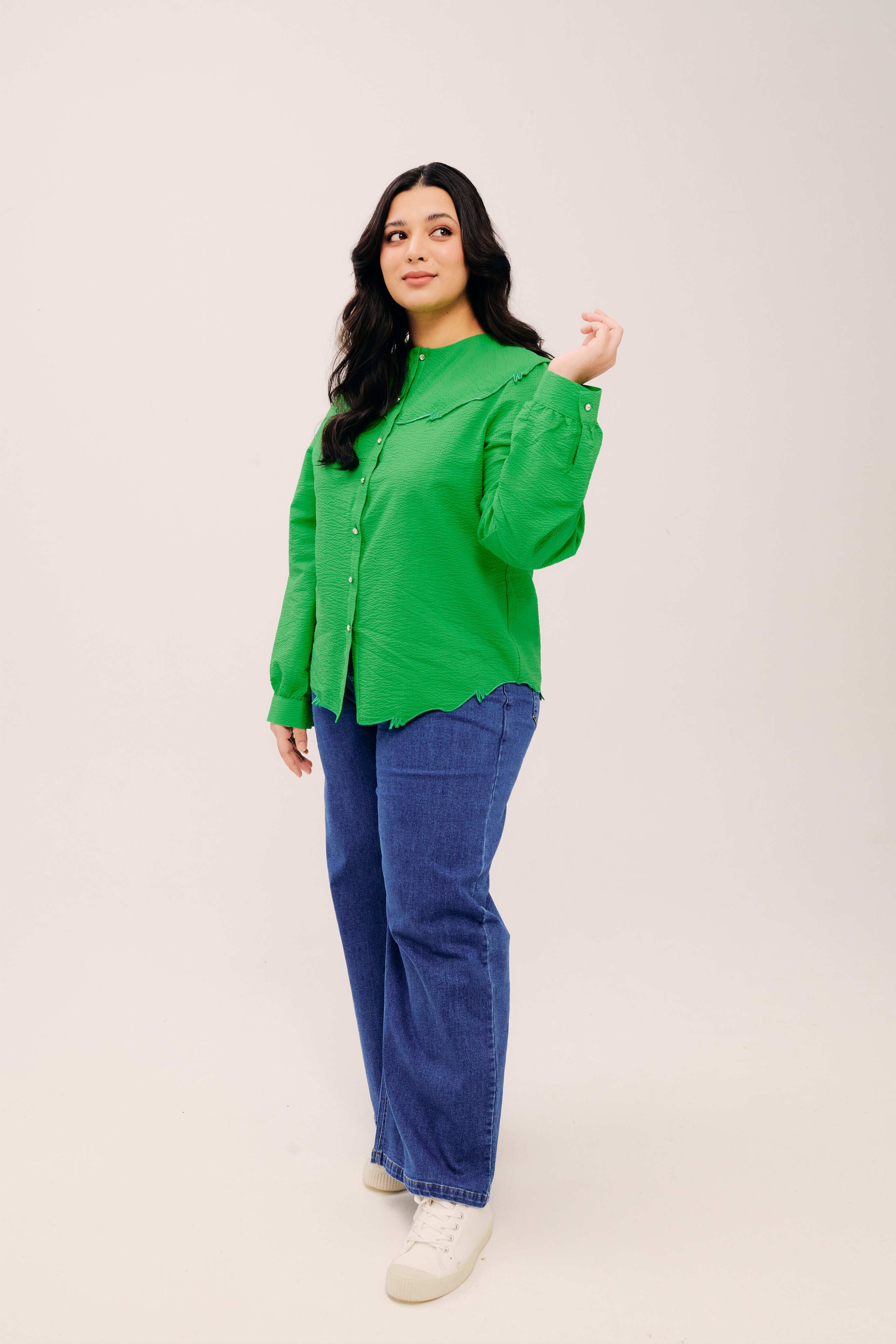 Lapel Classic Green Long Sleeve Embroidered Top