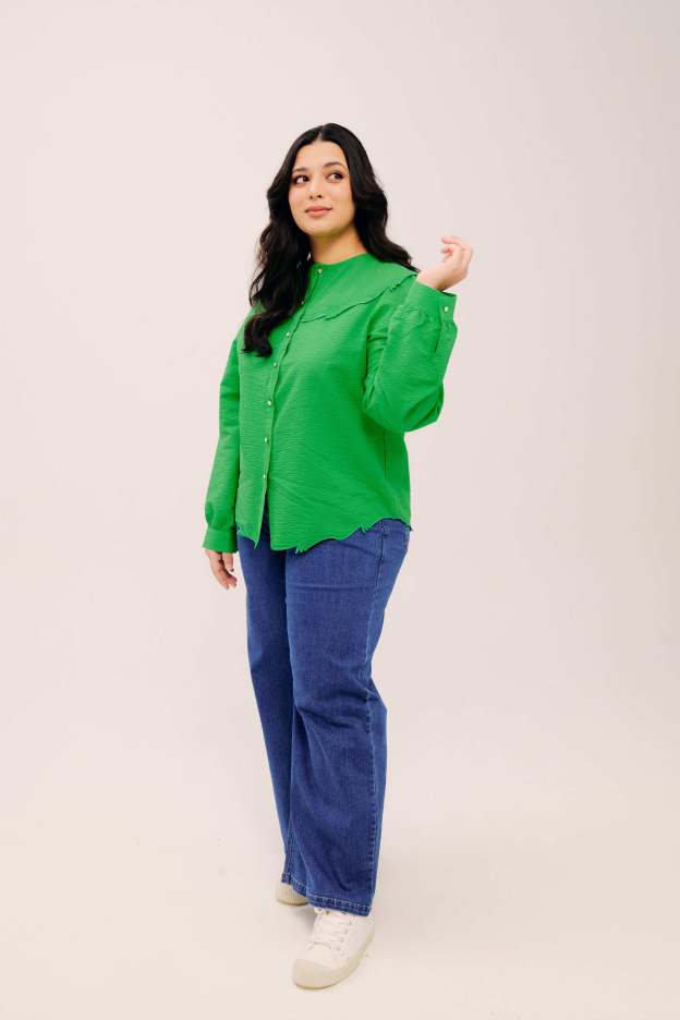 Lapel Classic Green Long Sleeve Embroidered Top