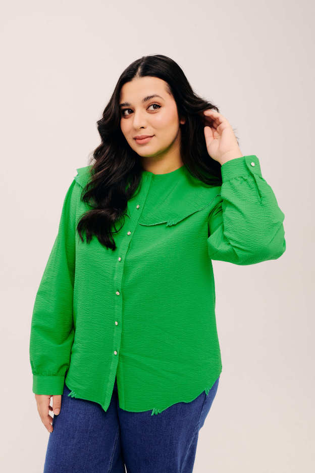 Lapel Classic Green Long Sleeve Embroidered Top