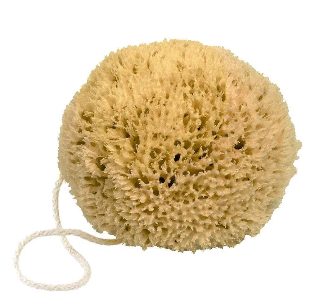 Fer A Cheval Natural Mediterranean Sponge by Love Nature