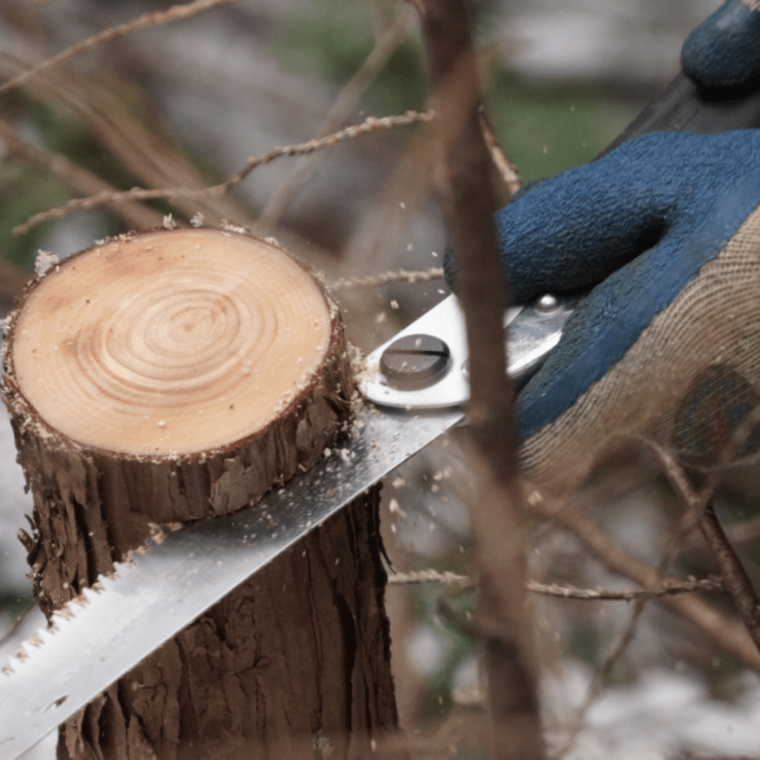 Silky Saw Gomboy 300mm (Medium Teeth)