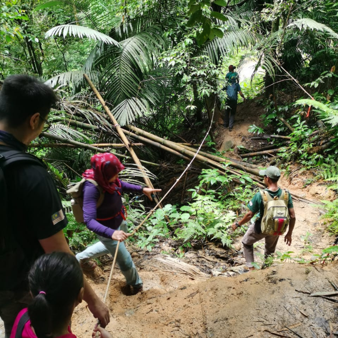 HIKING : Mount Nuang via Janda Baik