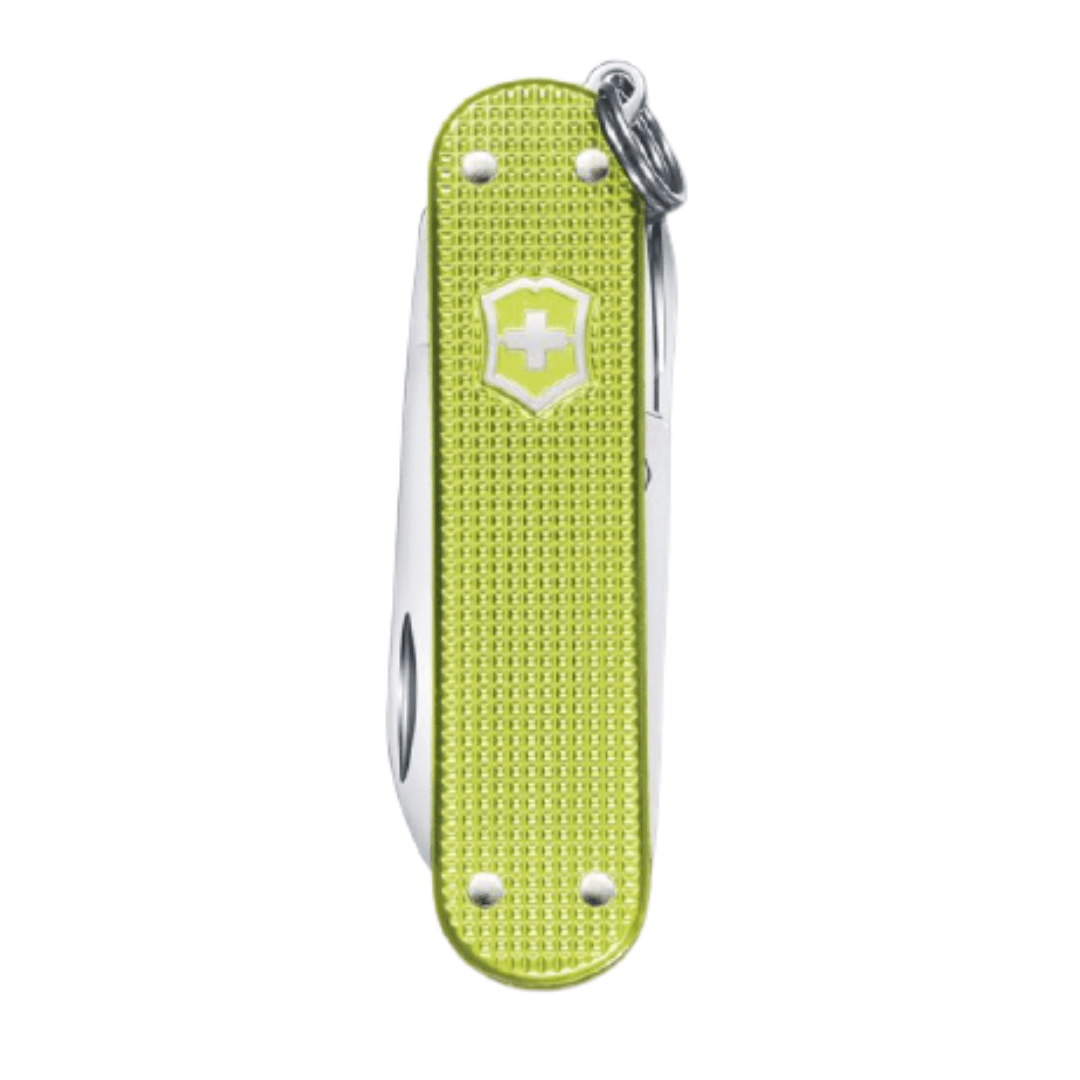 Victorinox Classic Alox Lime Twist 0.6221.241G
