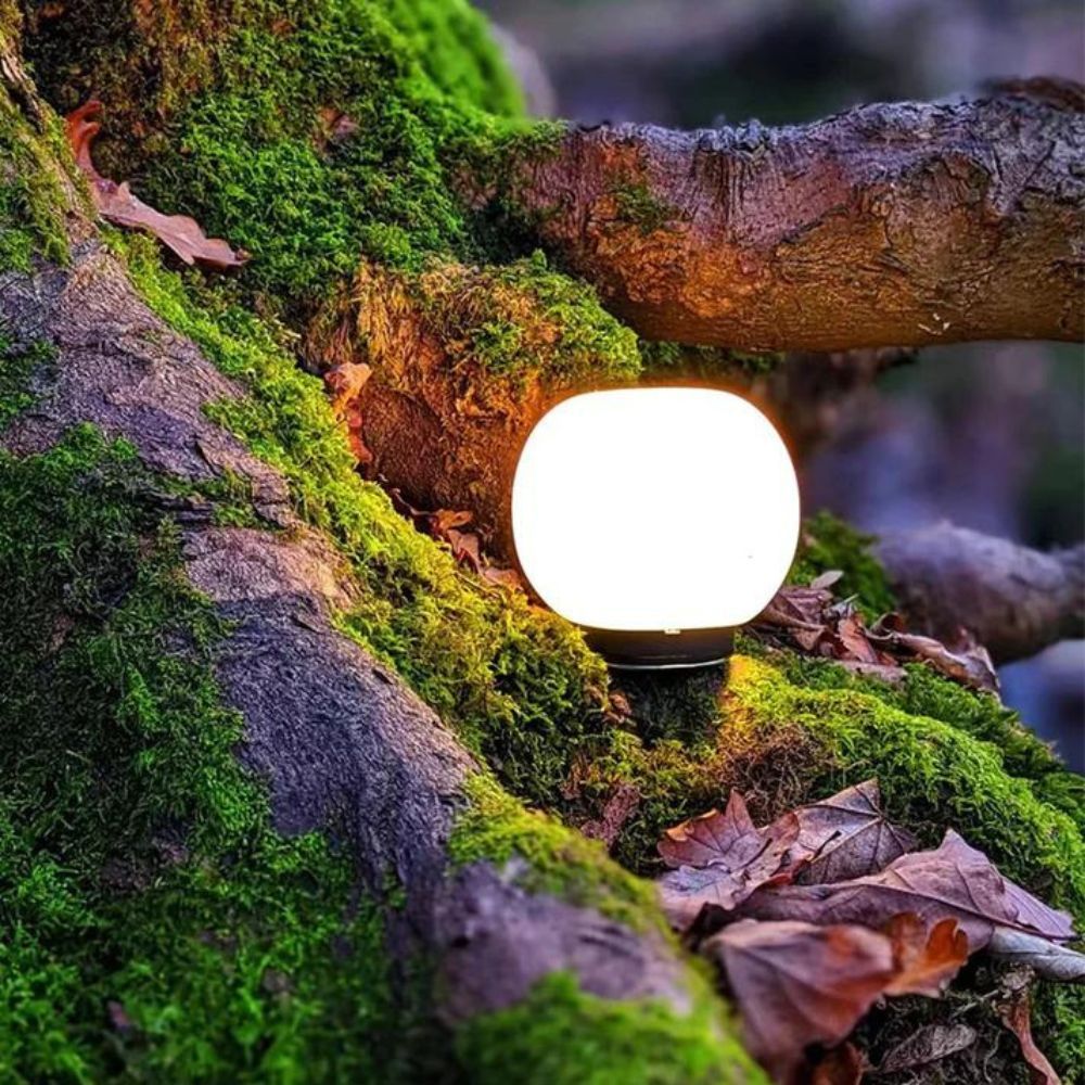 FLEXTAIL Mushroom Lampshade for Tiny Pump 2X