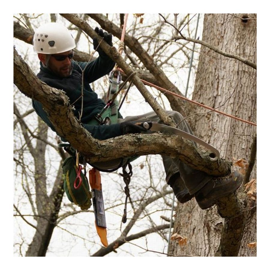 Silky Saw Sugoi 360mm Arborist