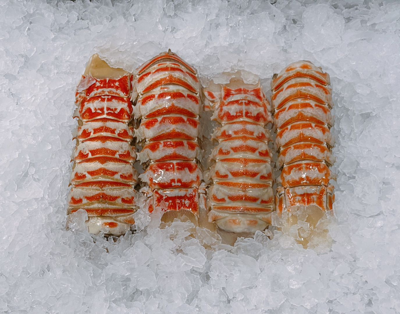 Frozen Wild Caught Lobster Tail 300g+-eBest-Prawns & Crabs,Seafood