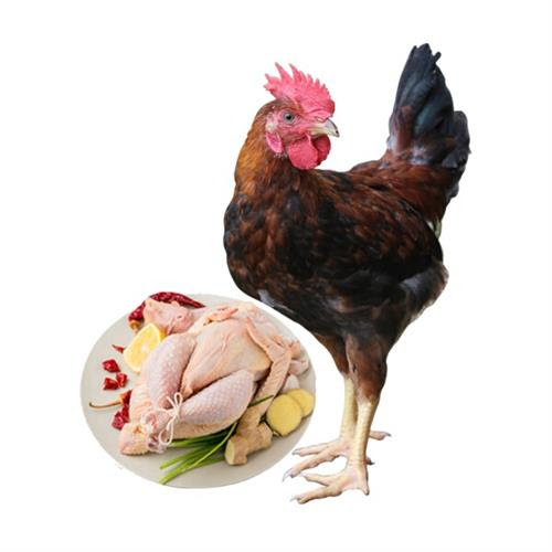Free Range Spring Chicken Whole 600-700g-eBest-Poultry,Meat deli & eggs