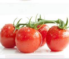 Tomato Pennet 1 Pack-eBest-Vegetables,Fruit & Vegetables