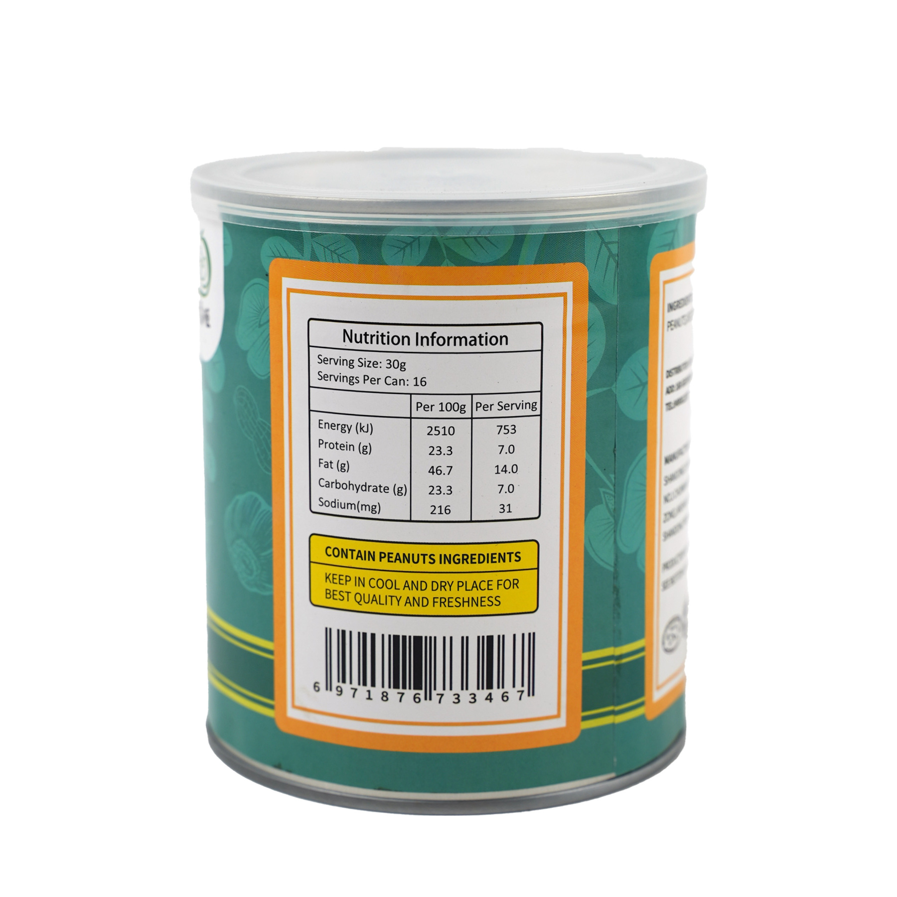 Fuwang Garlic Peanuts 480g-eBest-Nuts & Dried Fruit,Snacks & Confectionery-other brands