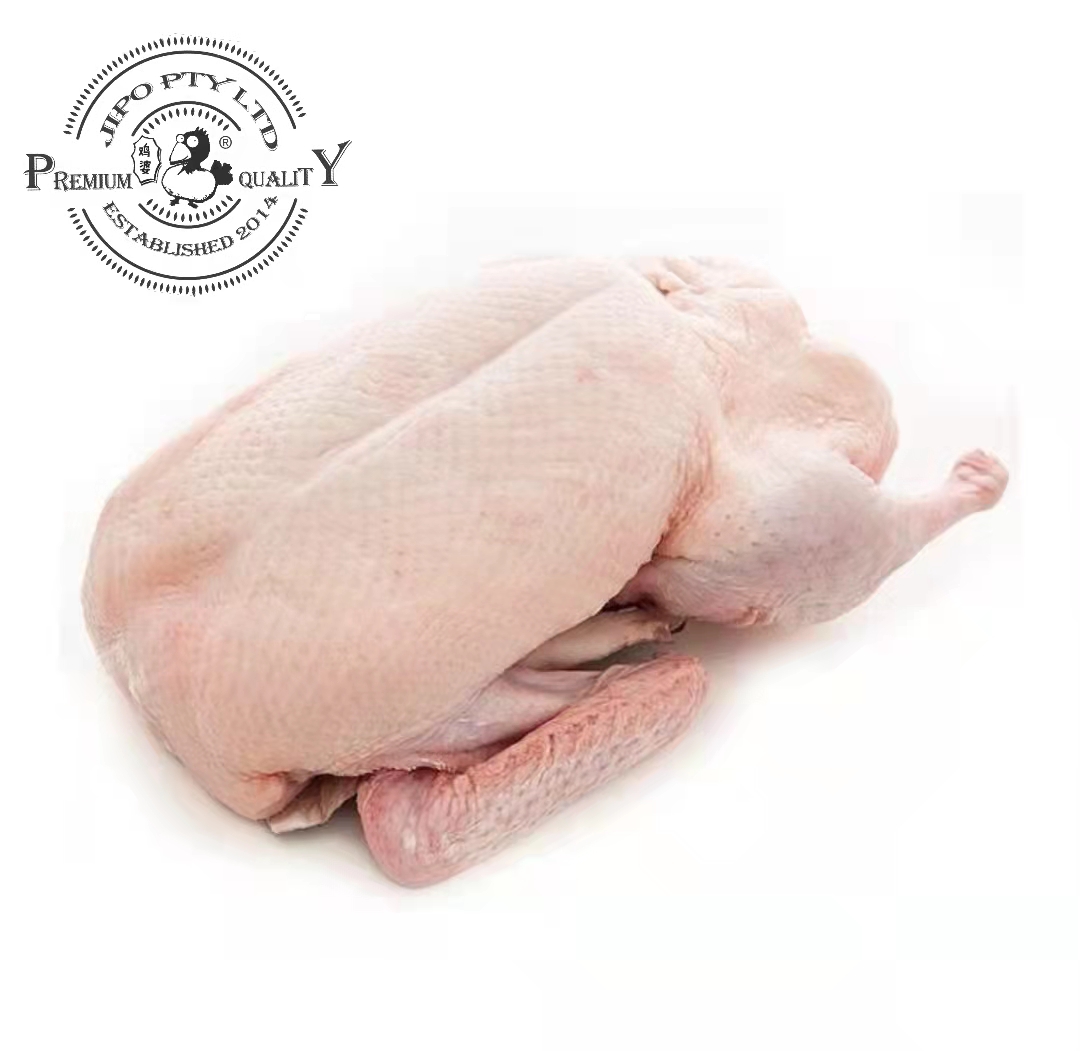 Jipo Mature Duck Approx. 2kg-eBest-Poultry,Meat deli & eggs