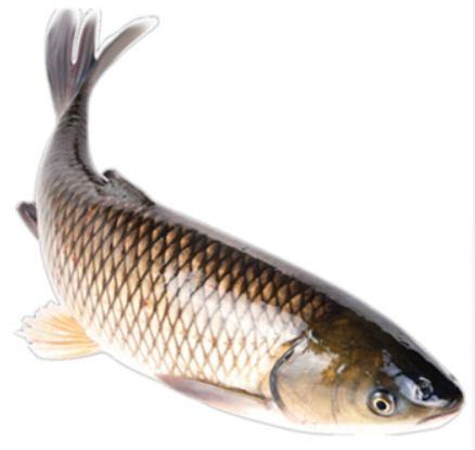 Crisp Grass Carp Slices  250g-eBest-Fish,Seafood-other brands