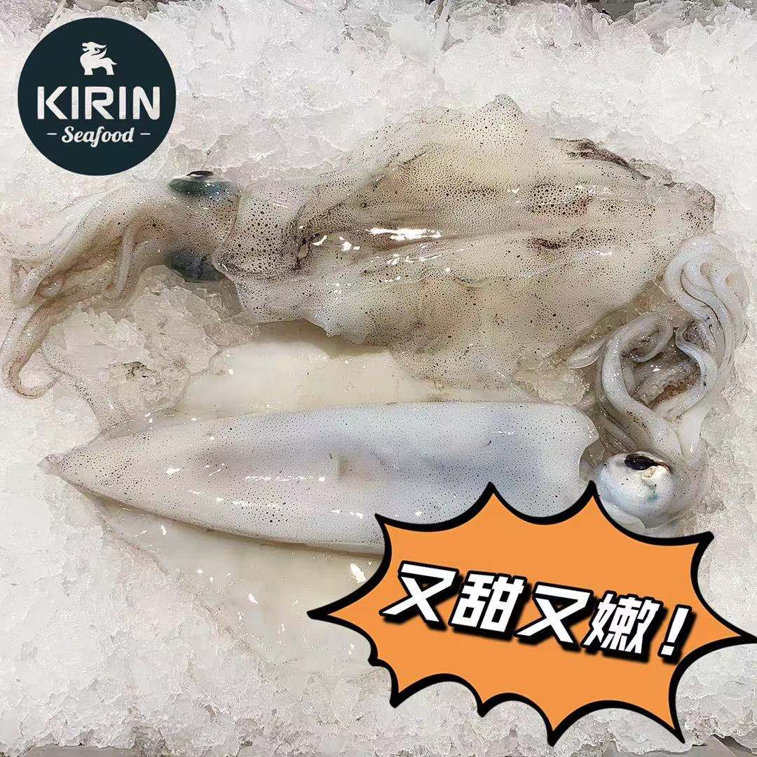 【Kirin Seafood】南澳青眼甜鱿鱼550g+/一份 冷冻保存-eBest-Squid & Octopus,Seafood