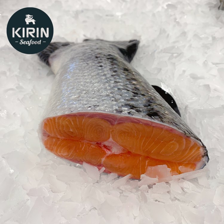 Salmon Tail 400g-500g-eBest-Cod/Salmon/Sashimi,Seafood
