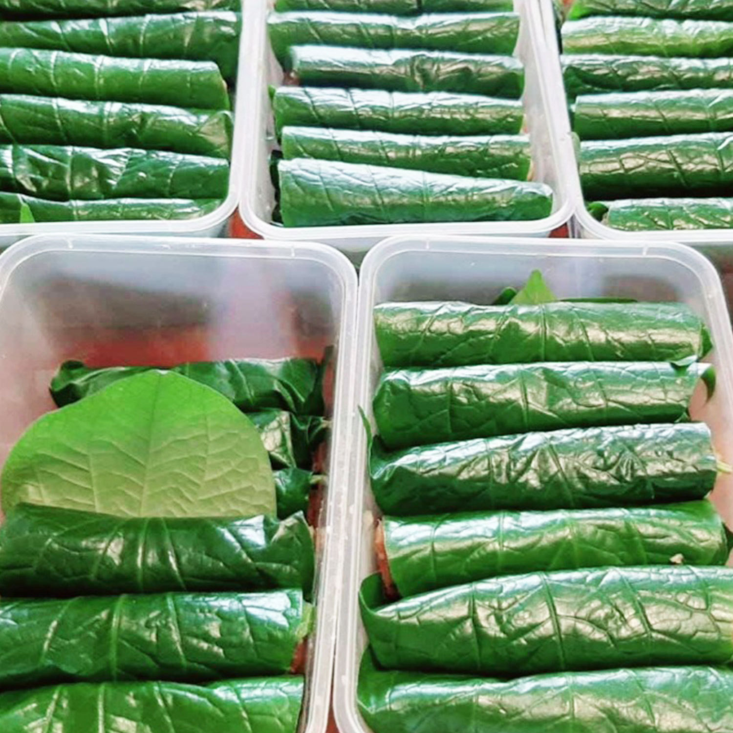 Ma Tui  Vietnamese Beef wrapped in Betel Leaves (Bò Lá Lốt) 10pc-eBest-Fast food for dinner,Ready Meal-other brands