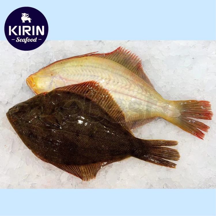New Zealand Wild Yellow Belly Flounder, Pre-Cleaned Weight 550g+/2条-eBest-Fish,Seafood