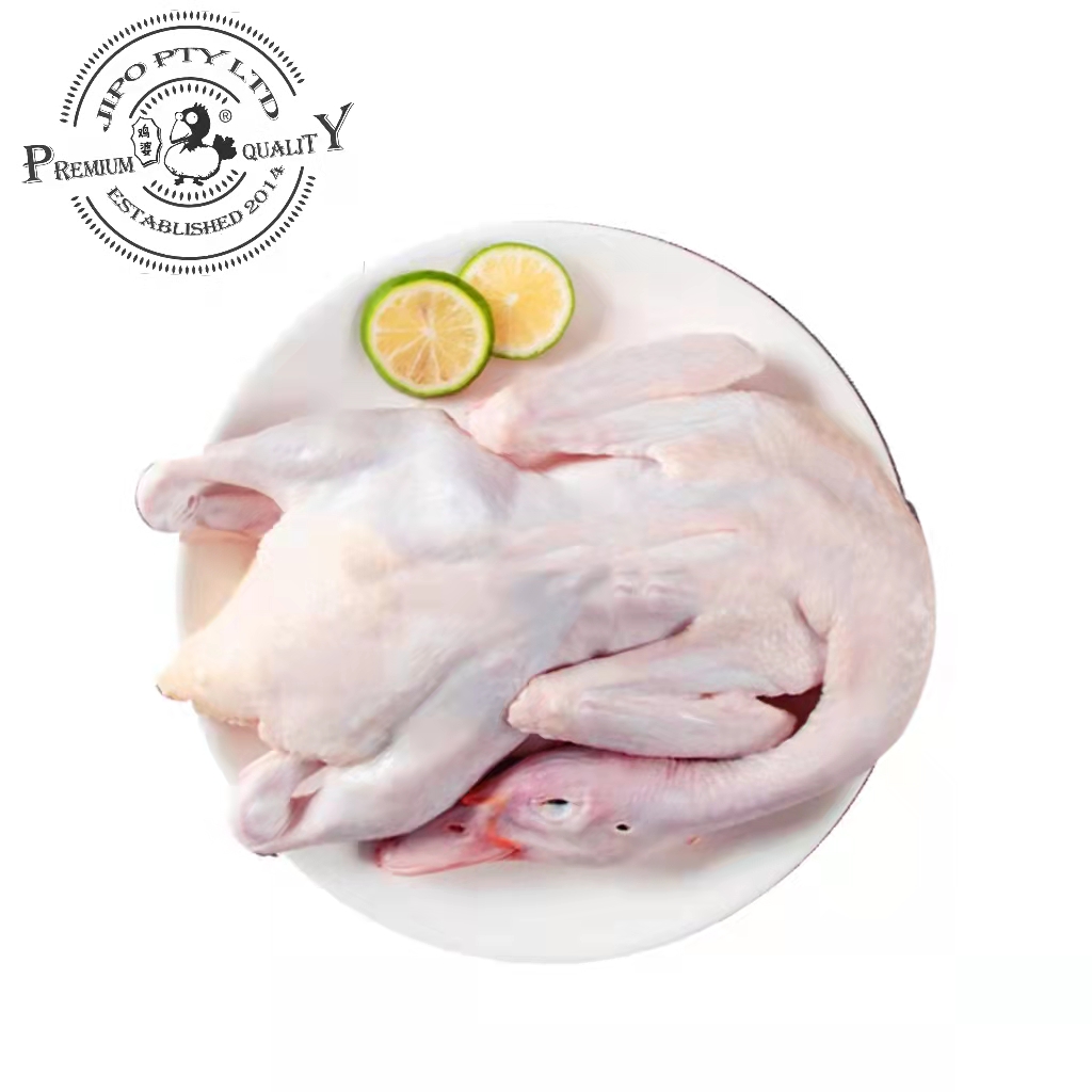 Jipo Free Range Muscovy Duck Approx. 1.7kg-eBest-Poultry,Meat deli & eggs