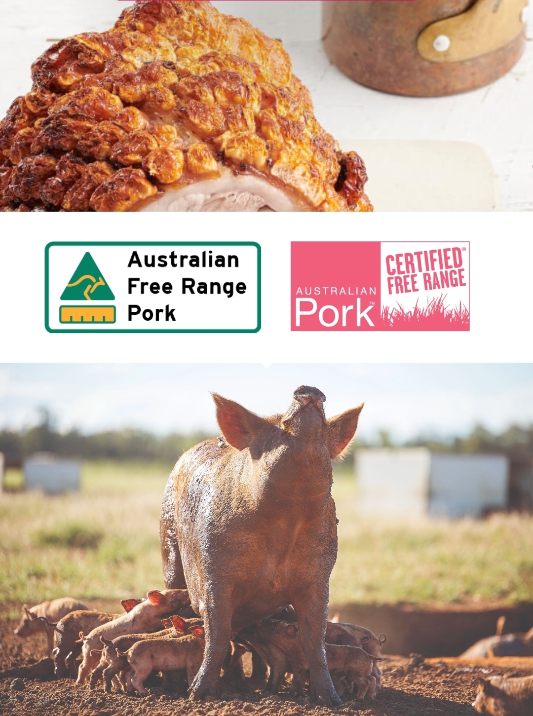 Beifang Free Range Pork Chops 1kg-eBest-Pork,Meat deli & eggs-Beifang