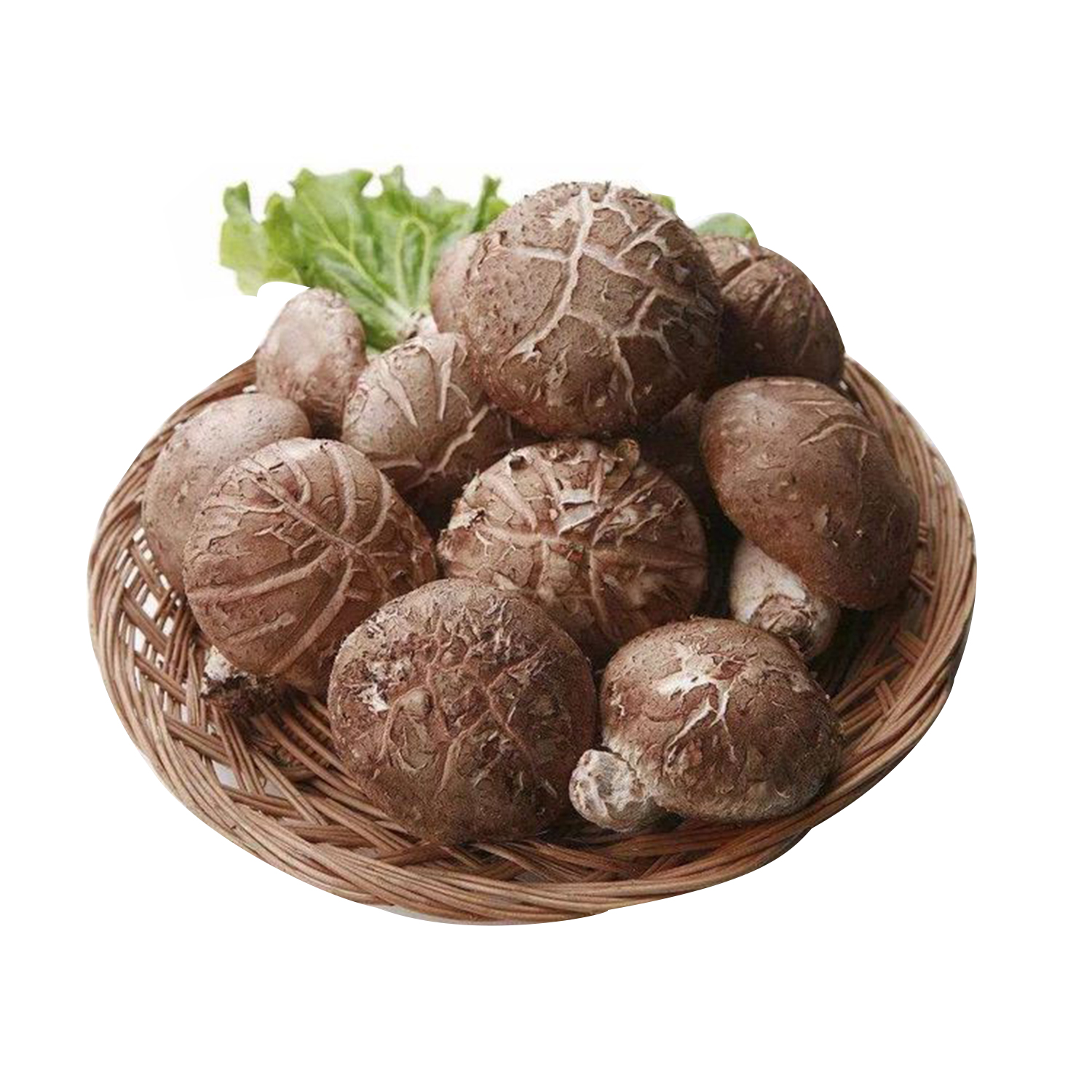 Fresh Shiitake Mushrooms 1 punnet 300g-eBest-Vegetables,Fruit & Vegetables