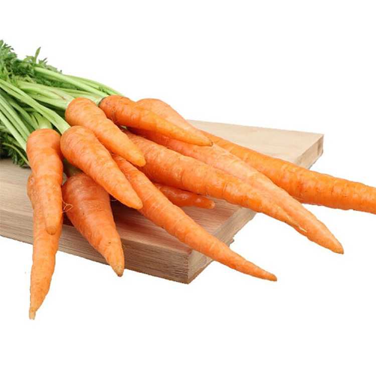 Carrot Dutch 1 Bunch-eBest-Vegetables,Fruit & Vegetables