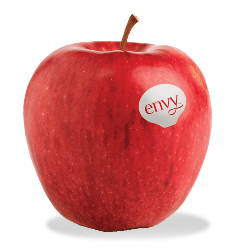 Envy Apple 1-1.1kg-eBest-Fruit,Fruit & Vegetables-eBest Brand Fruits and Vegetables