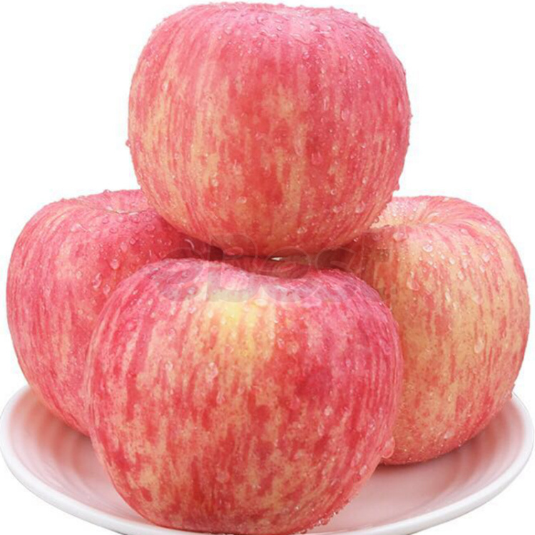 Imported Red Fuji Apple about 1kg-1.2kg-eBest-Fruit,Fruit & Vegetables