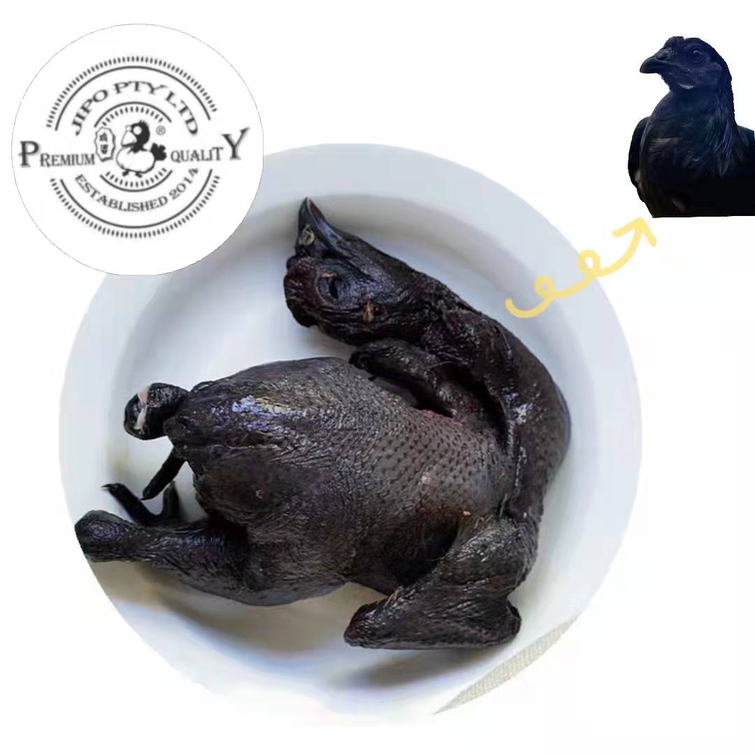 Jipo Premium Purebred Mountain Black Silkie Chicken 450g+/650g+-eBest-Poultry,Meat deli & eggs