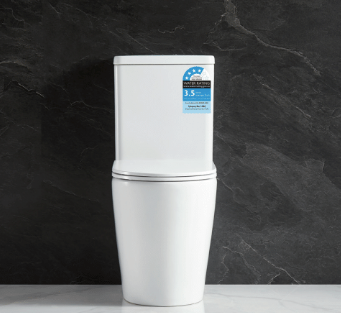 CLA-WM04 Ella Rimless toilet