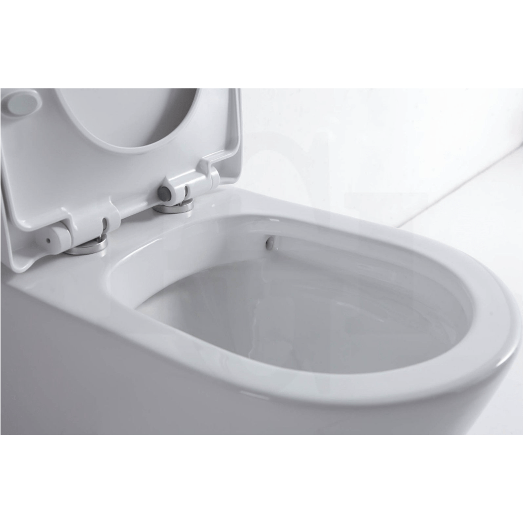 YT Round Short Projection Back To Wall Ceramic Toilet Suite Rimless 620x365x830mm-YT Bathroom