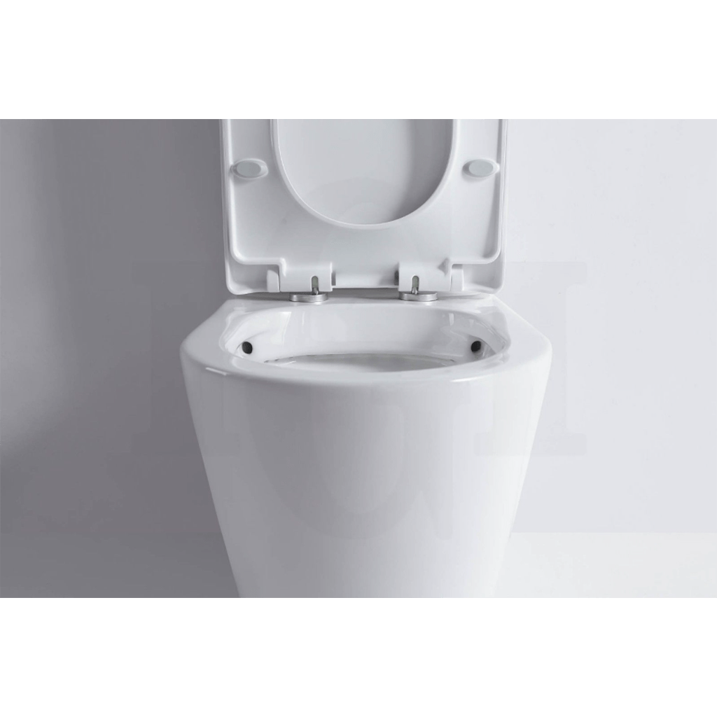 YT Round Short Projection Back To Wall Ceramic Toilet Suite Rimless 620x365x830mm-YT Bathroom